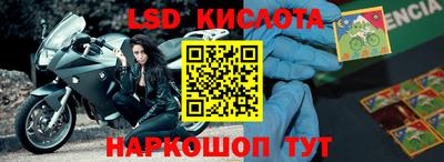 ALPHA PVP Гатчина