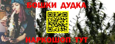ALPHA PVP Гатчина