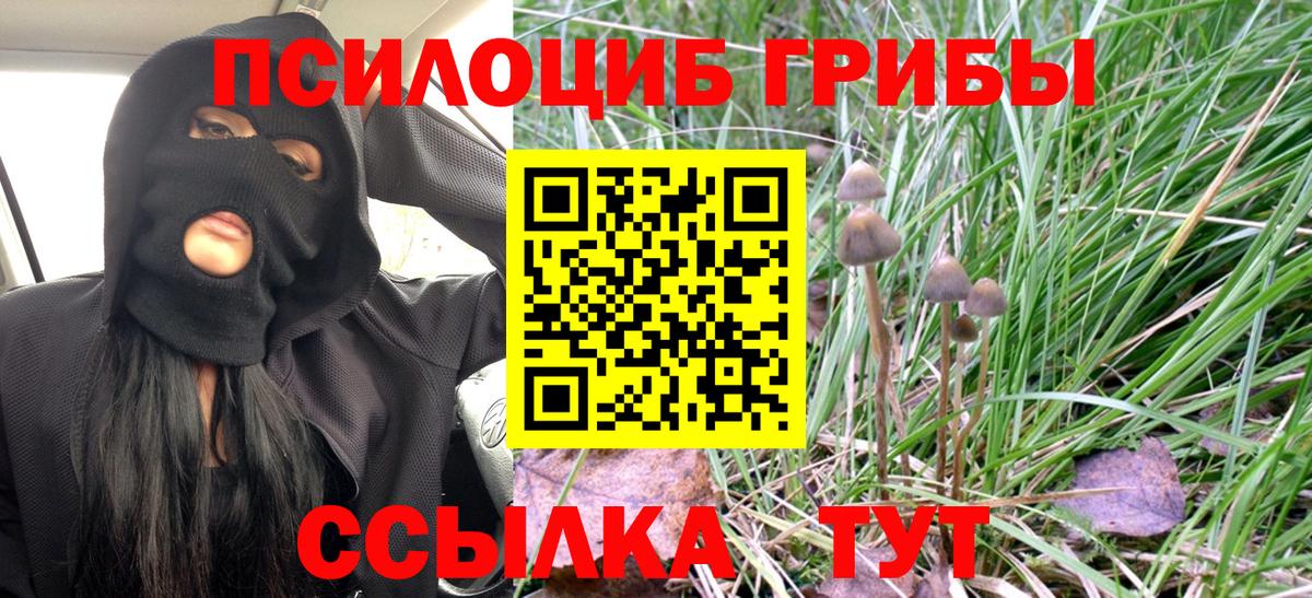Галлюциногенные грибы Magic Shrooms Новокубанск