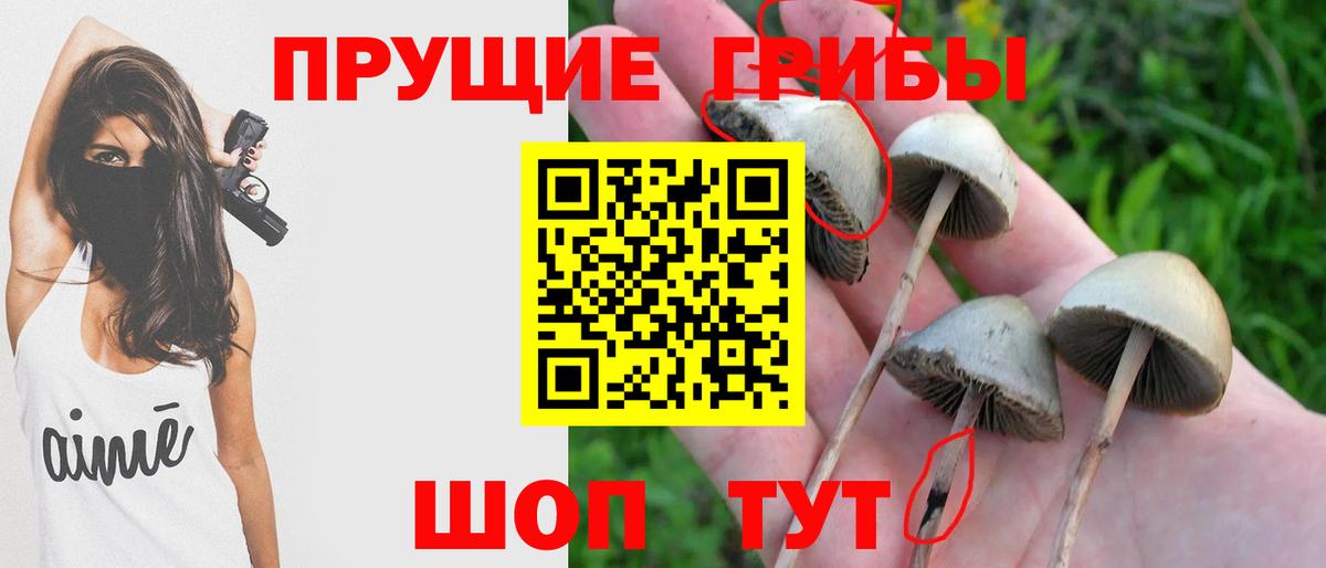 Псилоцибиновые грибы MAGIC MUSHROOMS  Вход с VPN  Новокубанск 