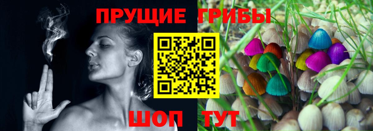ГАШ Новокубанск
